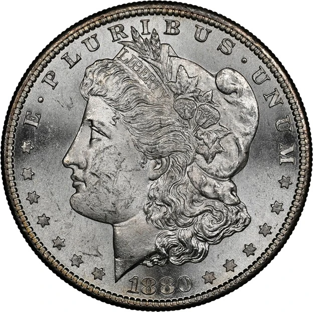 Cheek detail of 1880-S Morgan dollar graded NGC MS63, with bag marks